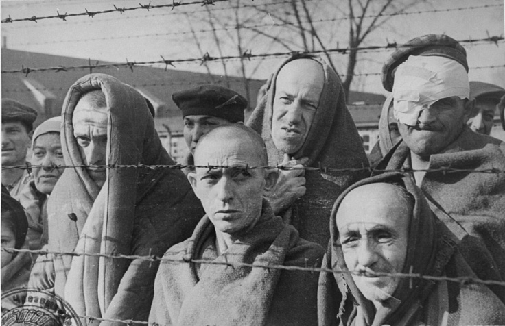 prisoners liberated from Auschqitz